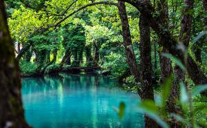 Prvo iz BiH: Prašuma Јanj uvrštena na UNESCO listu svjetske baštine